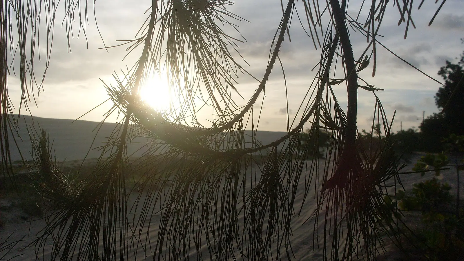 Pôr do sol entre a vegetação e as dunas de Cumbuco