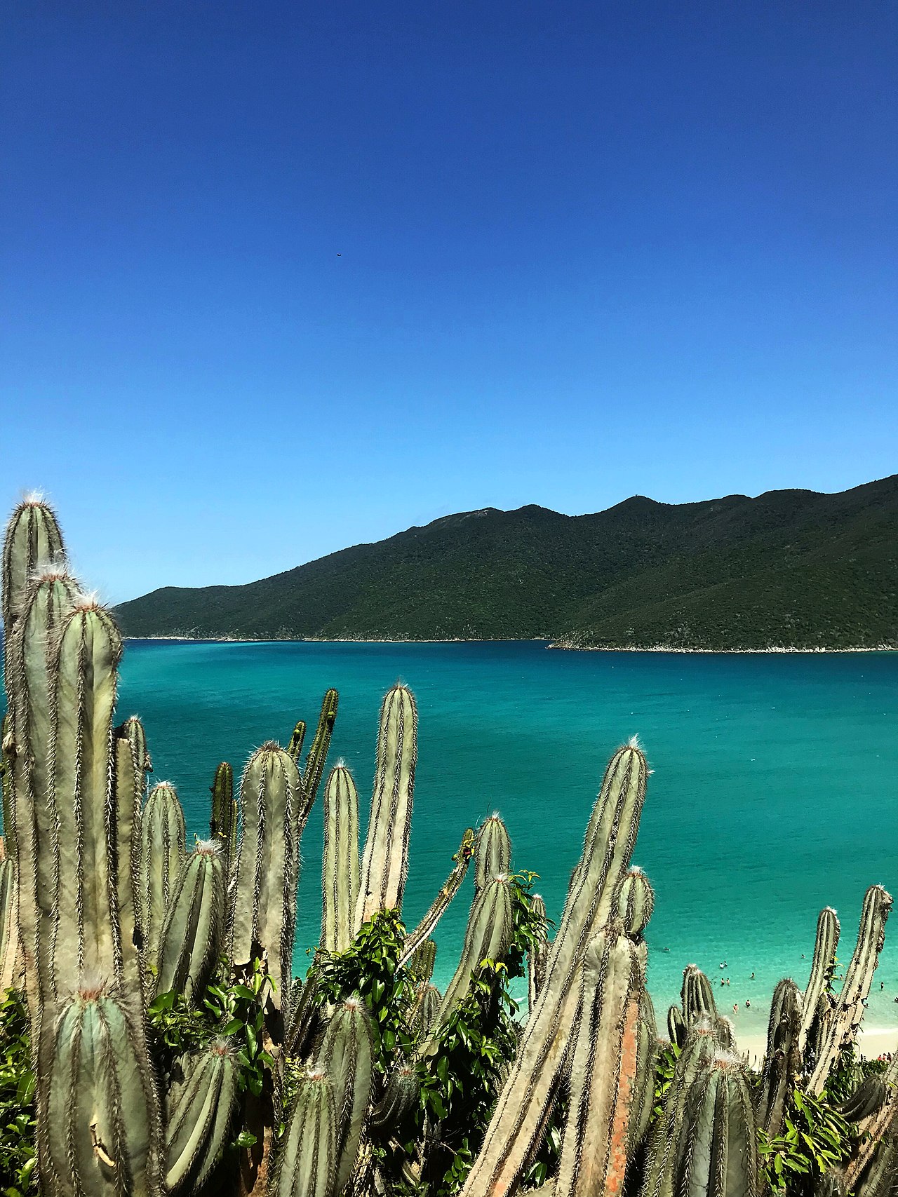 Mar azul-turquesa visto do Pontal do Atalaia, em Arraial do Cabo