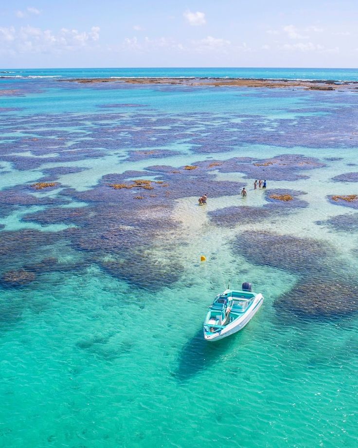 Imagem relacionada ao artigo Maragogi (AL): o paraíso das águas cristalinas