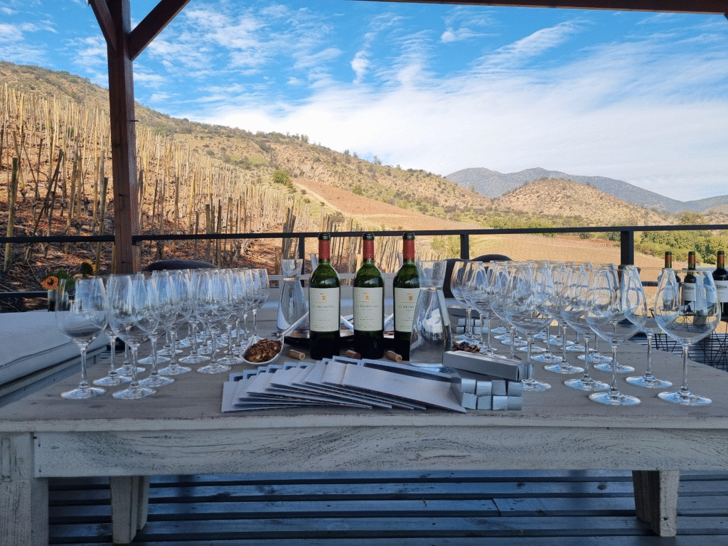 Degustação de vinhos em vinícola próxima a Santiago