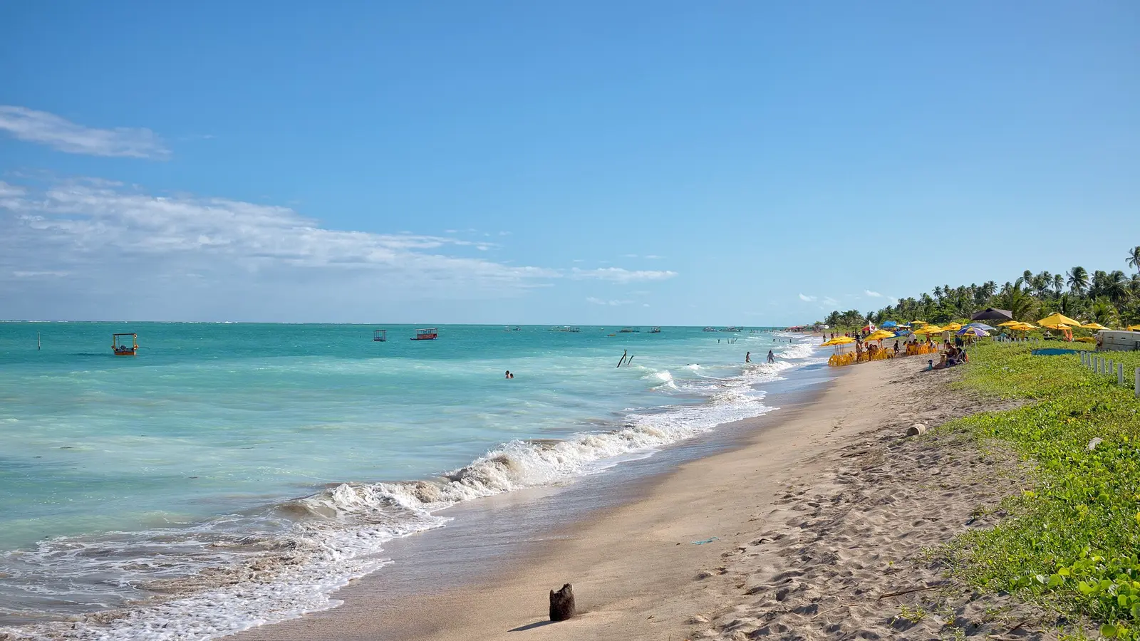 Coqueiros e mar azul na Praia de Xaréu, no litoral de Maragogi