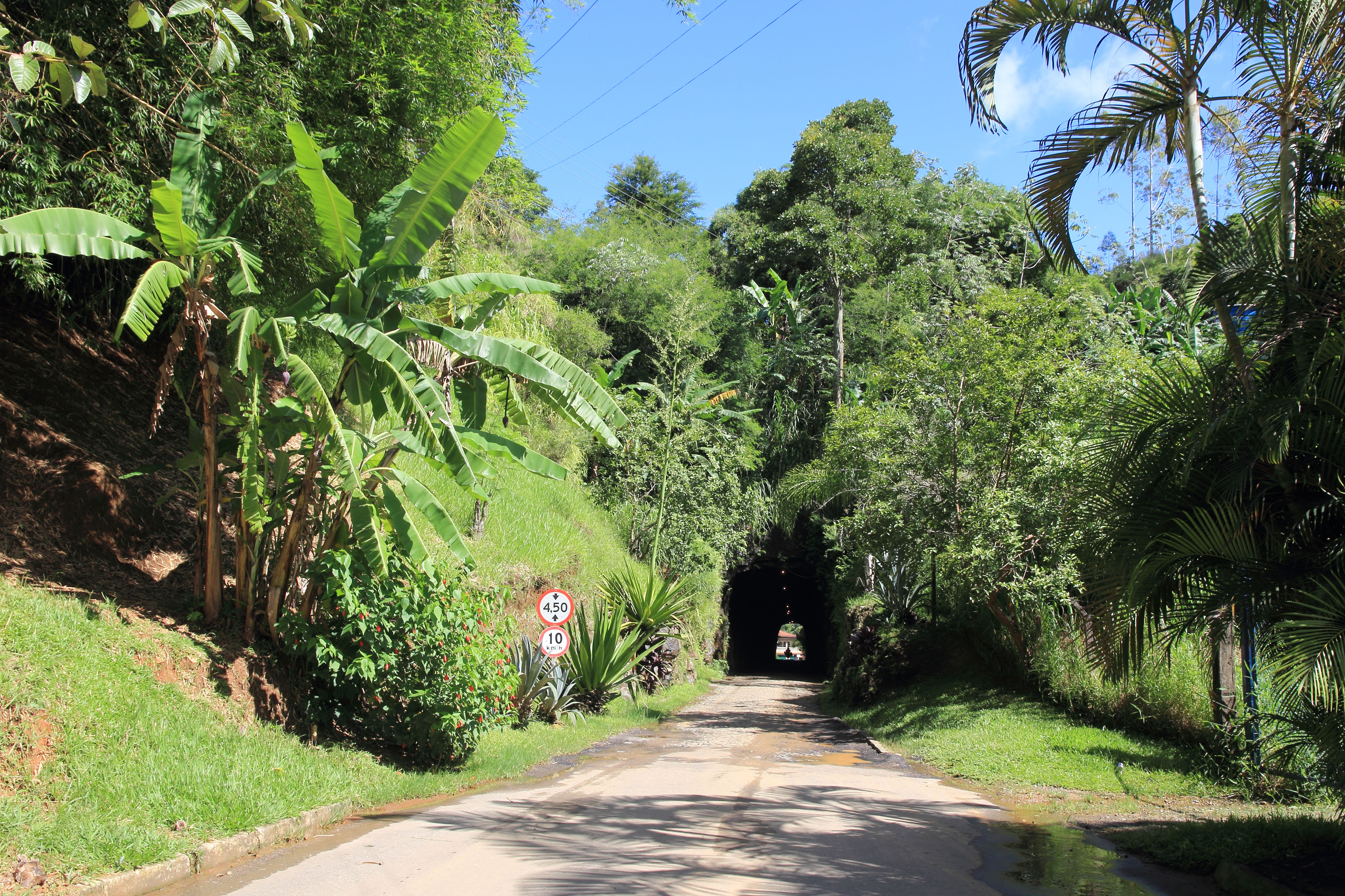 Entrada do Túnel que Chora cercada por vegetação em Conservatória